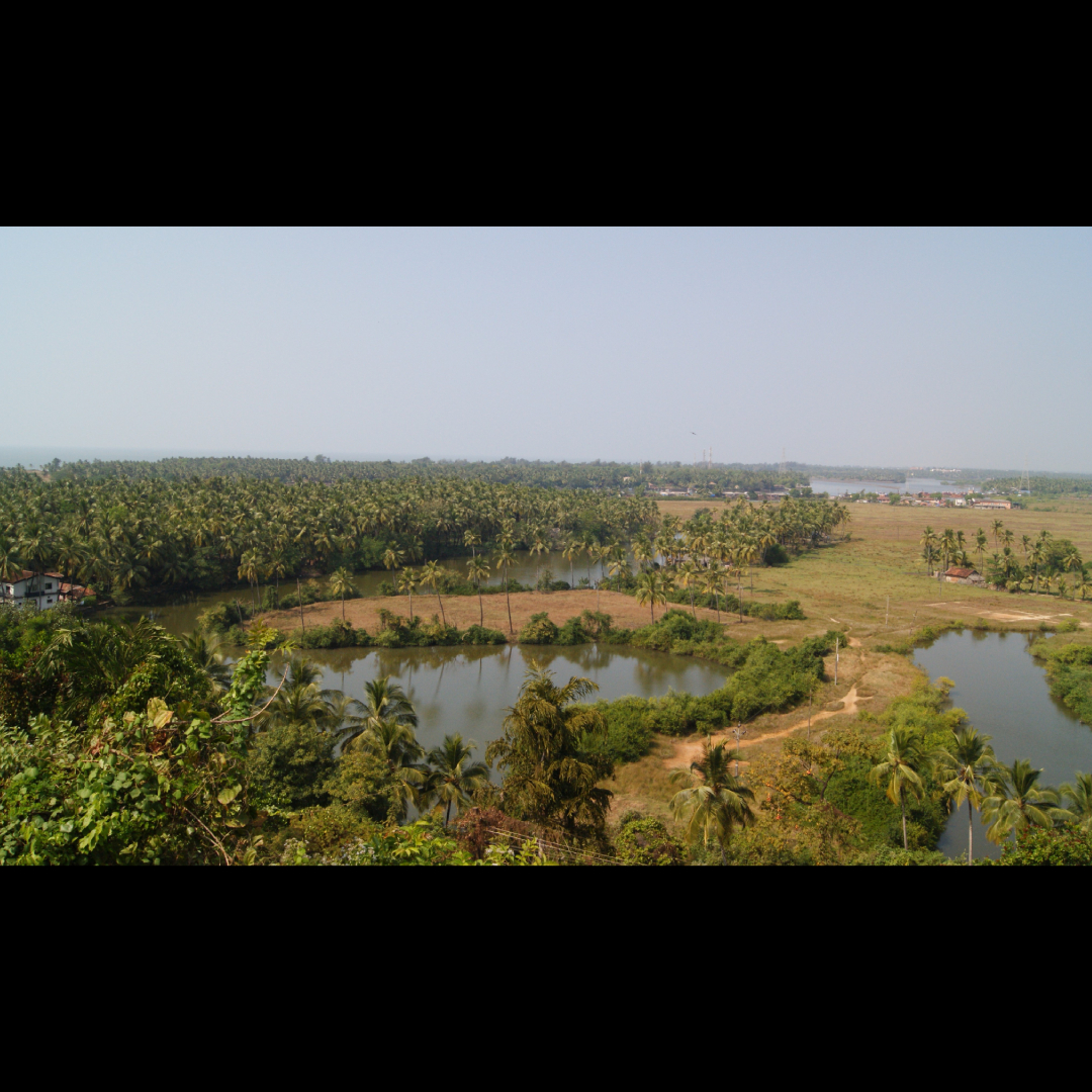 Coastal jungle village in Goa
