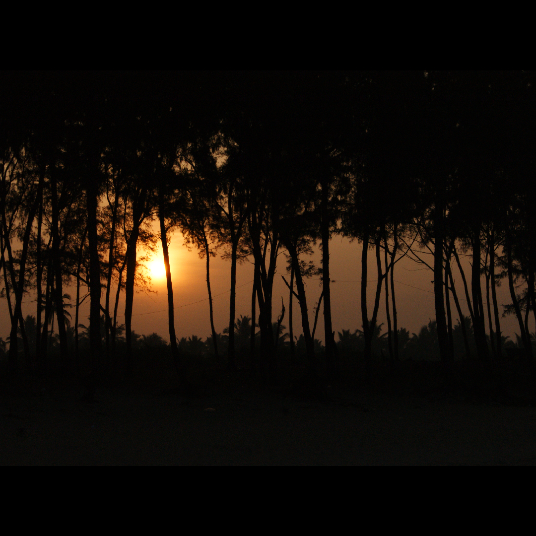 Goa Sunset